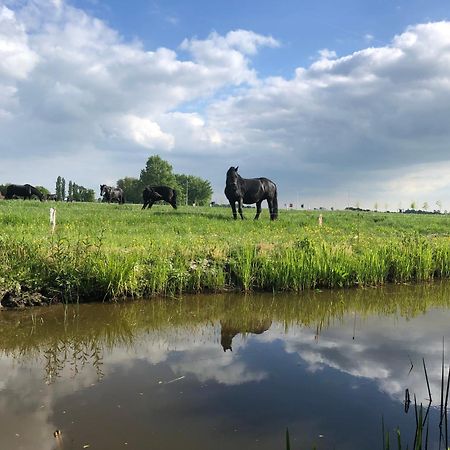 Vakantiehuis In Friesland Voor De Hele Familie Huns Εξωτερικό φωτογραφία