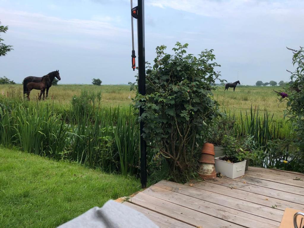 Vakantiehuis In Friesland Voor De Hele Familie Huns Εξωτερικό φωτογραφία