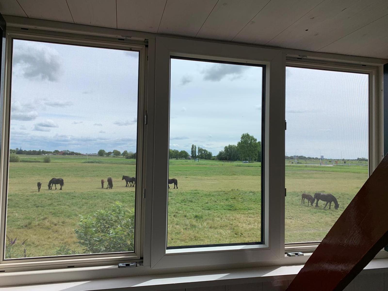 Vakantiehuis In Friesland Voor De Hele Familie Huns Εξωτερικό φωτογραφία