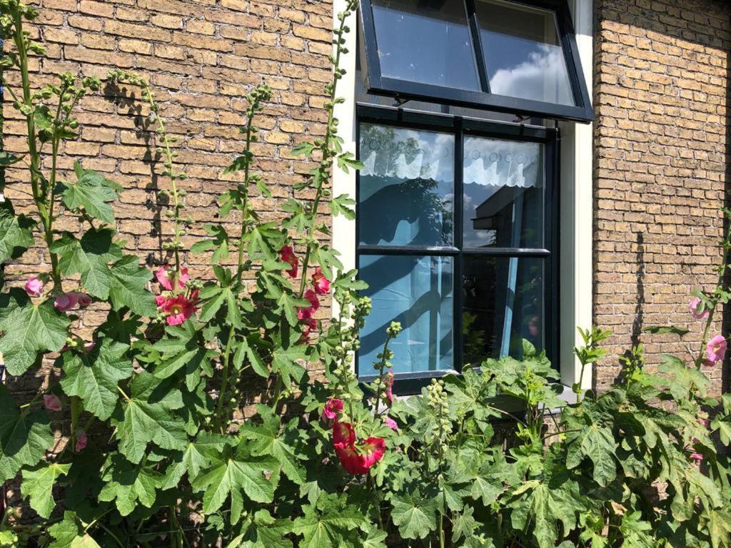 Vakantiehuis In Friesland Voor De Hele Familie Huns Εξωτερικό φωτογραφία